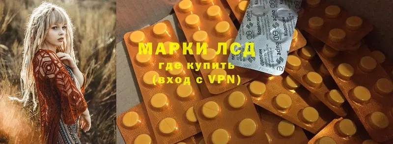 что такое   Жуков  ЛСД экстази ecstasy 