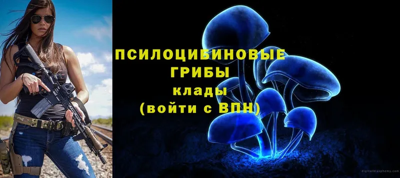 Галлюциногенные грибы Psilocybine cubensis  Жуков 